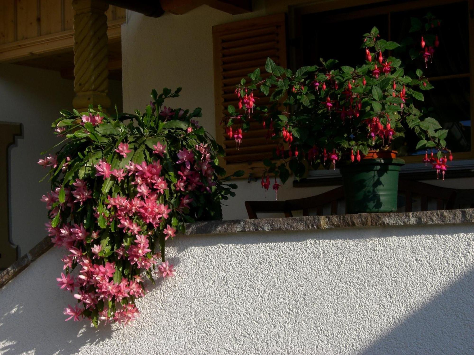 Haus Unterberg Hotel Kossen Exterior photo